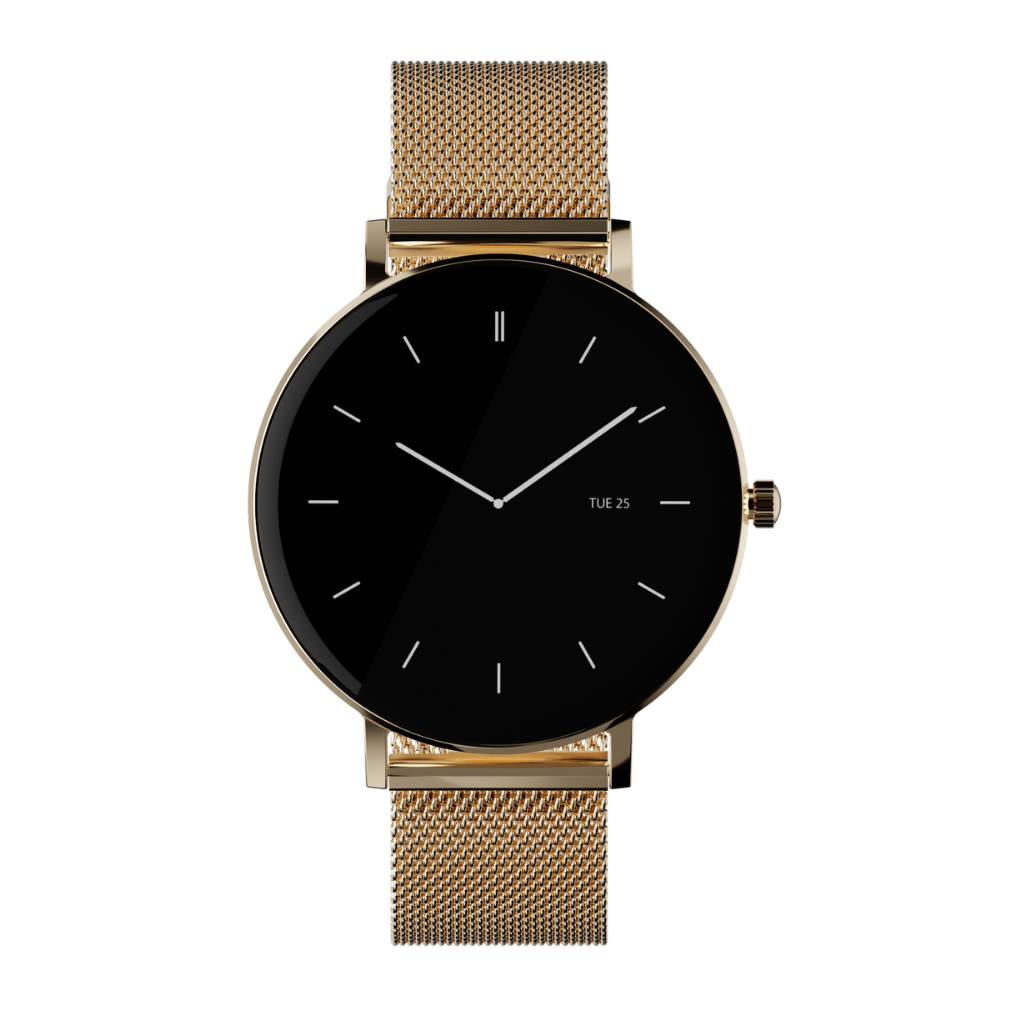 ZENWATCH - Venice Pro